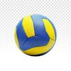 Girls JV Volleyball